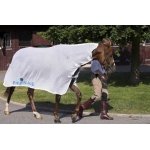 Equi-N-ice Rapid Cooler Rug